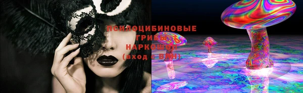 прущие грибы Осташков