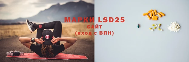 прущие грибы Осташков