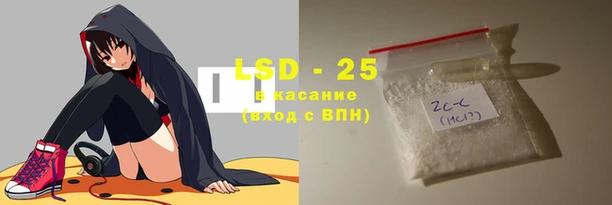 прущие грибы Осташков