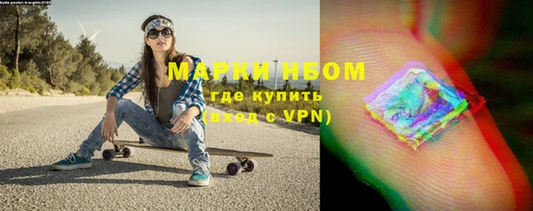 прущие грибы Осташков