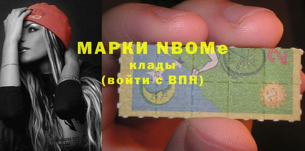 прущие грибы Осташков