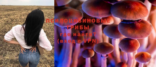 прущие грибы Осташков