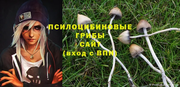 прущие грибы Осташков