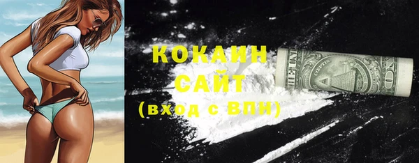 прущие грибы Осташков