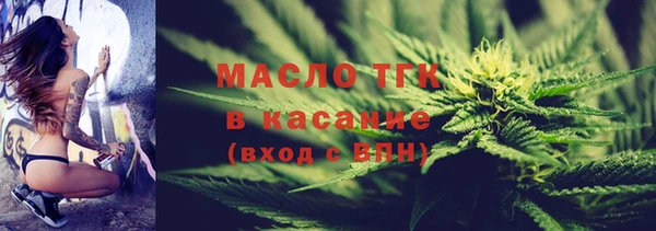 прущие грибы Осташков