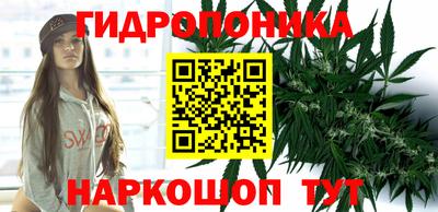 кокс Заволжье