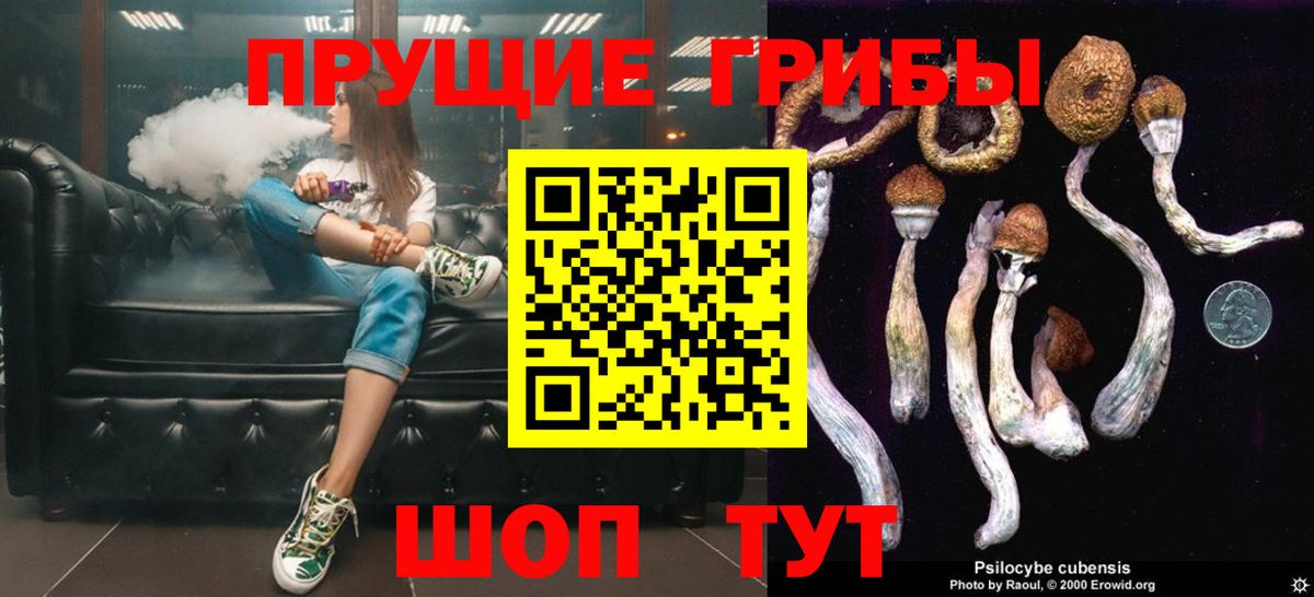 Галлюциногенные грибы мицелий Соль-Илецк